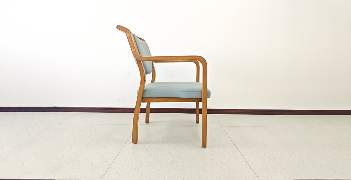 EF-C01 Elderly care chair