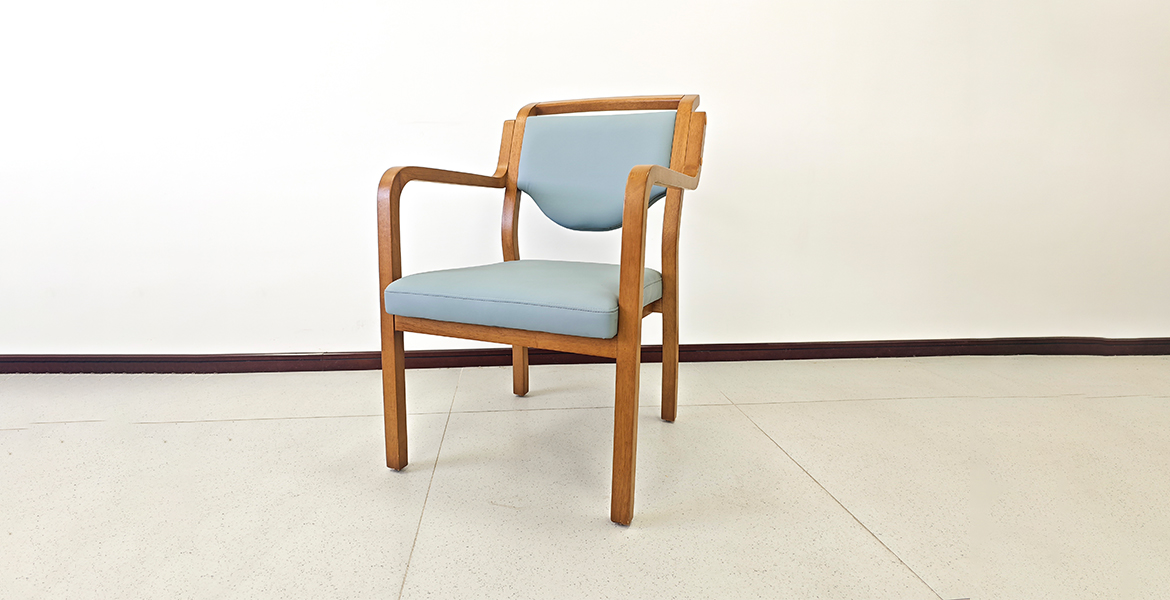 EF-C01 Elderly care chair