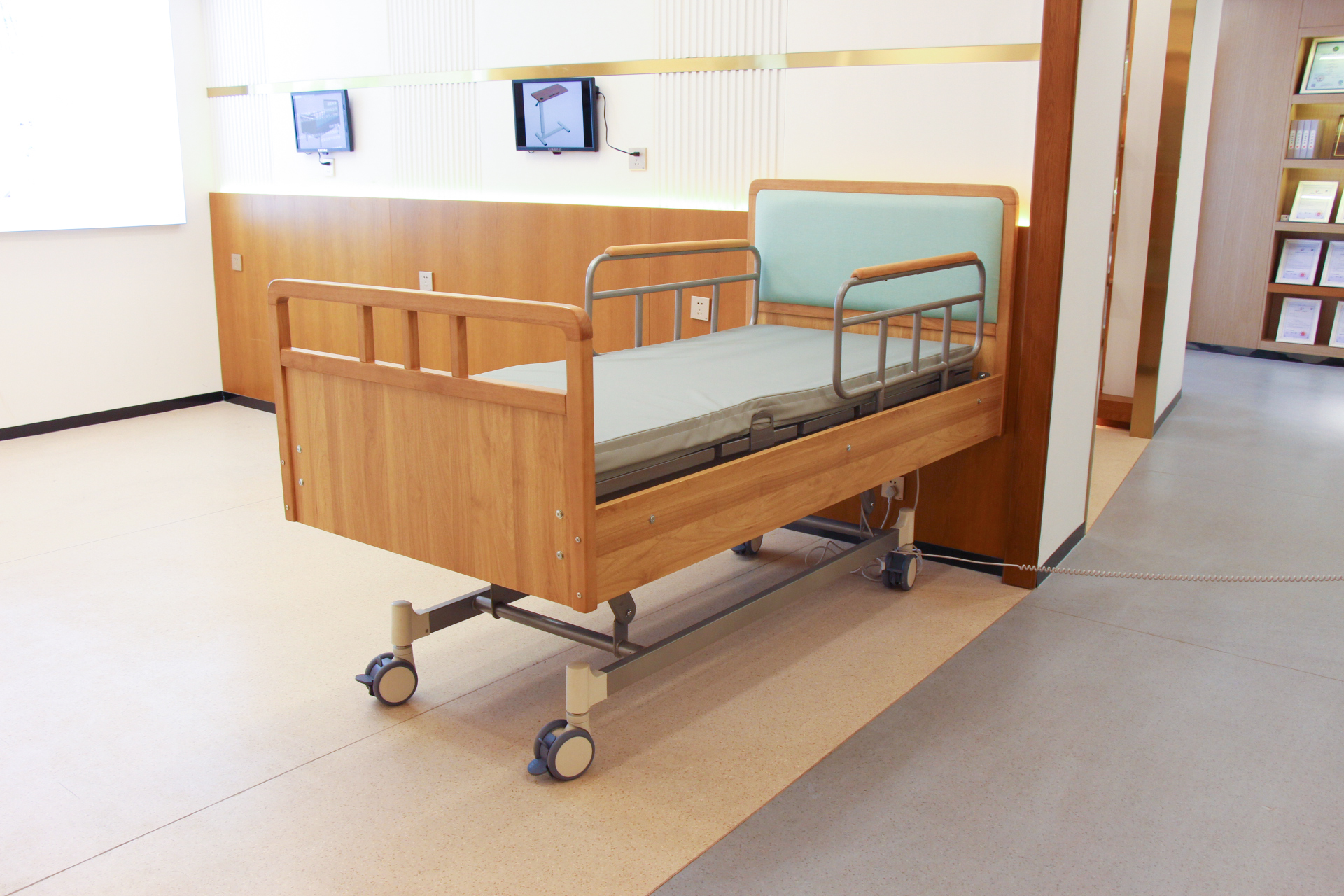 EF-B02 Electric nursing bed(Functions are optional)