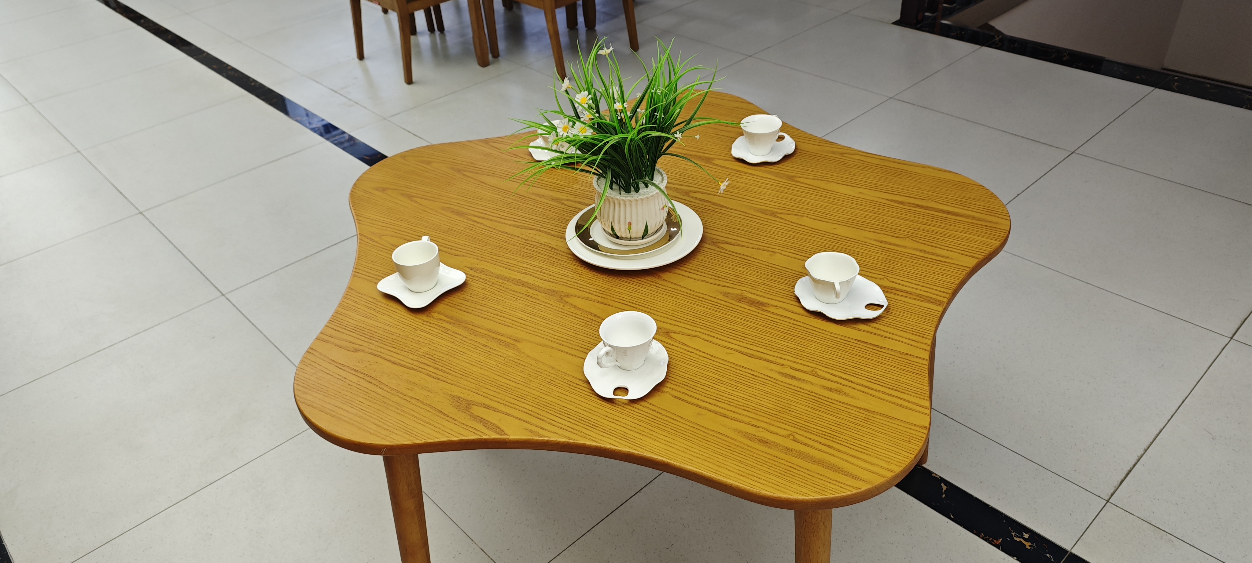 EF-T05 Elderly care table (Star)