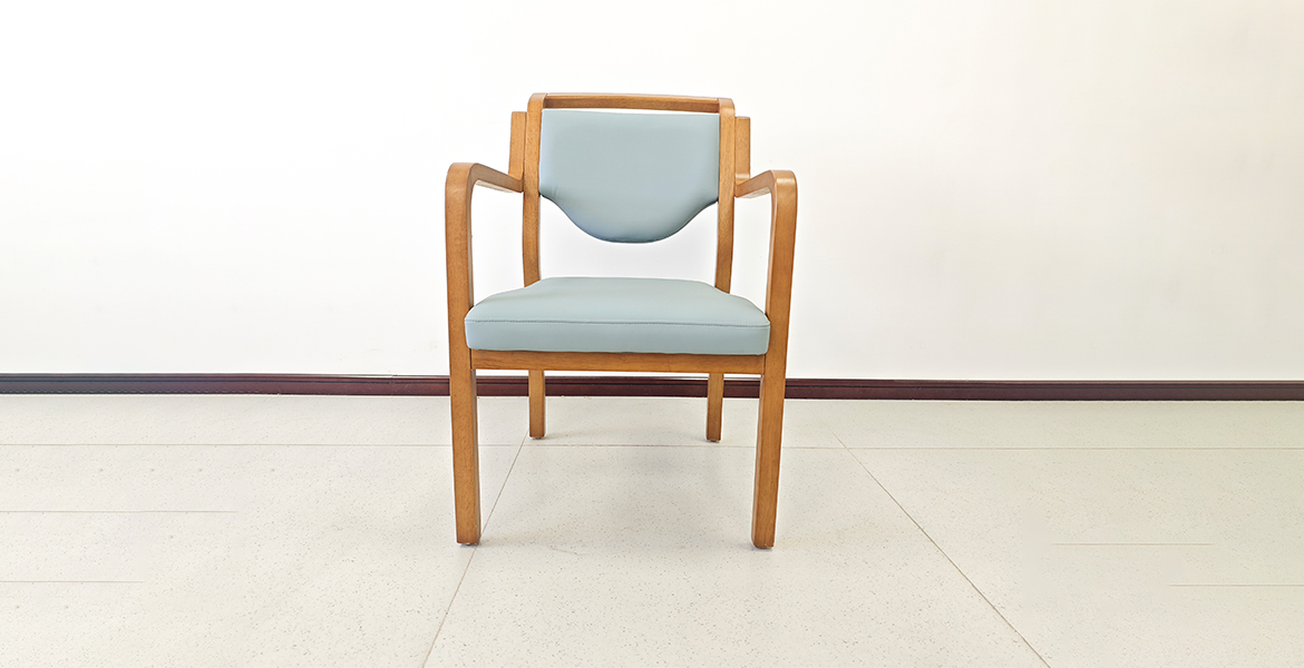 EF-C01 Elderly care chair