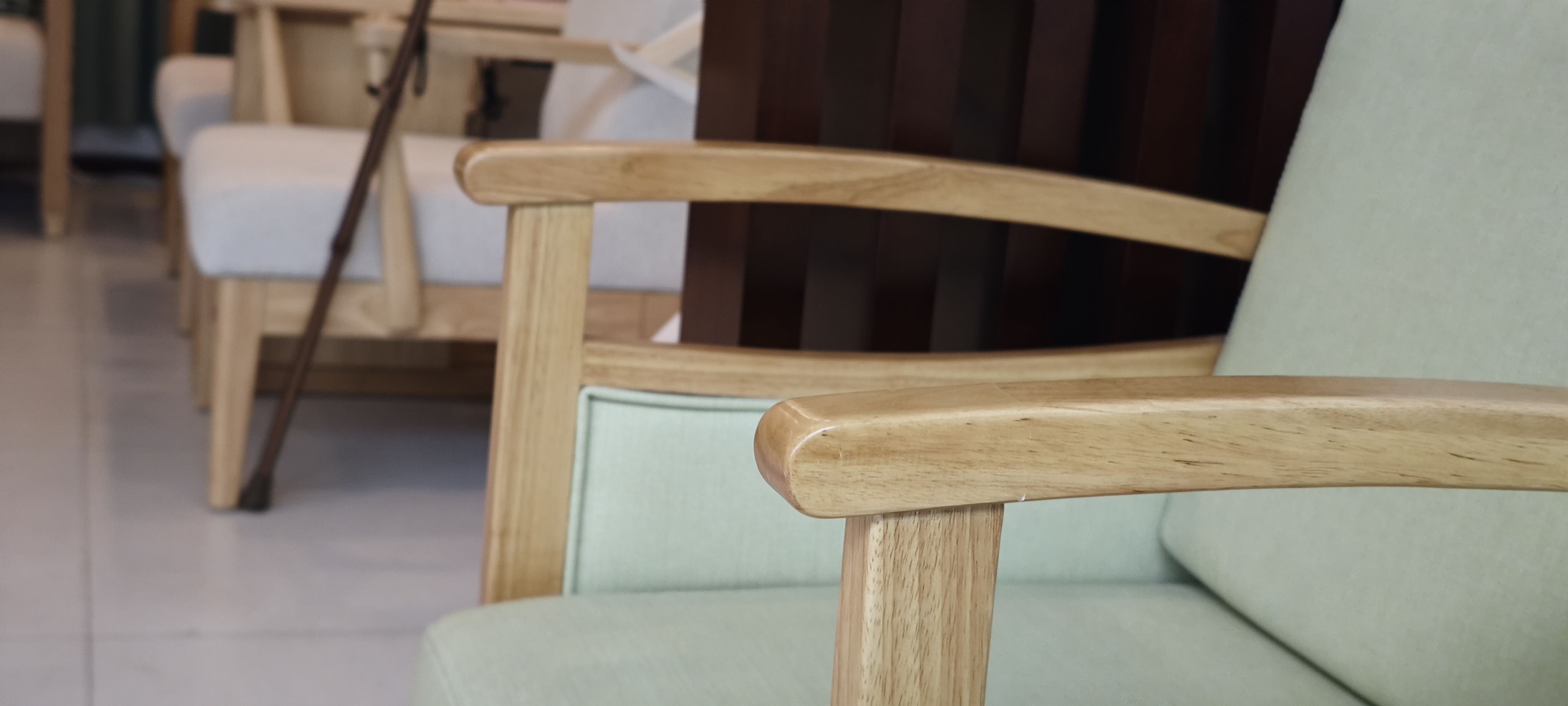 EF-C05 Elderly care lounge chair
