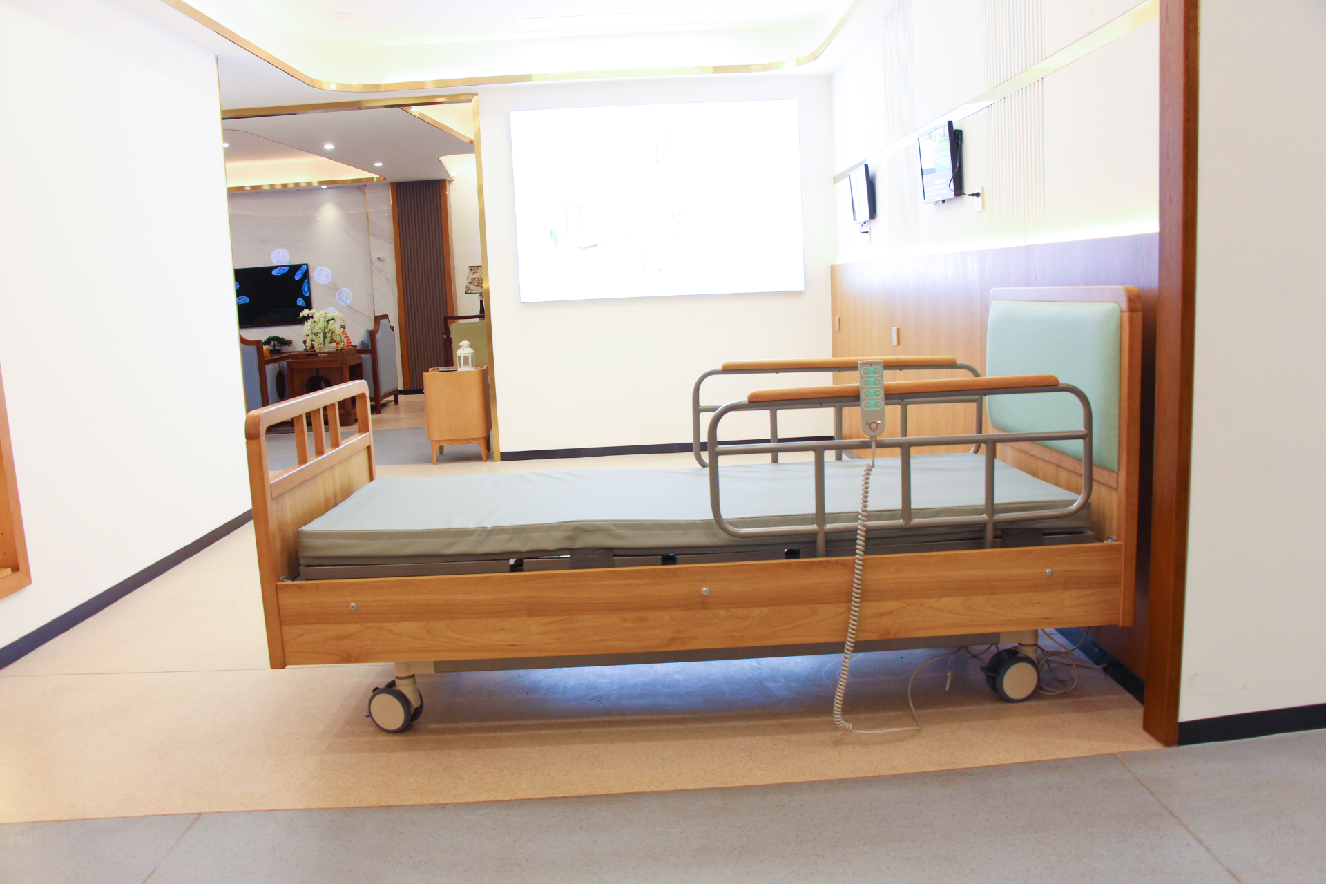 EF-B02 Electric nursing bed(Functions are optional)