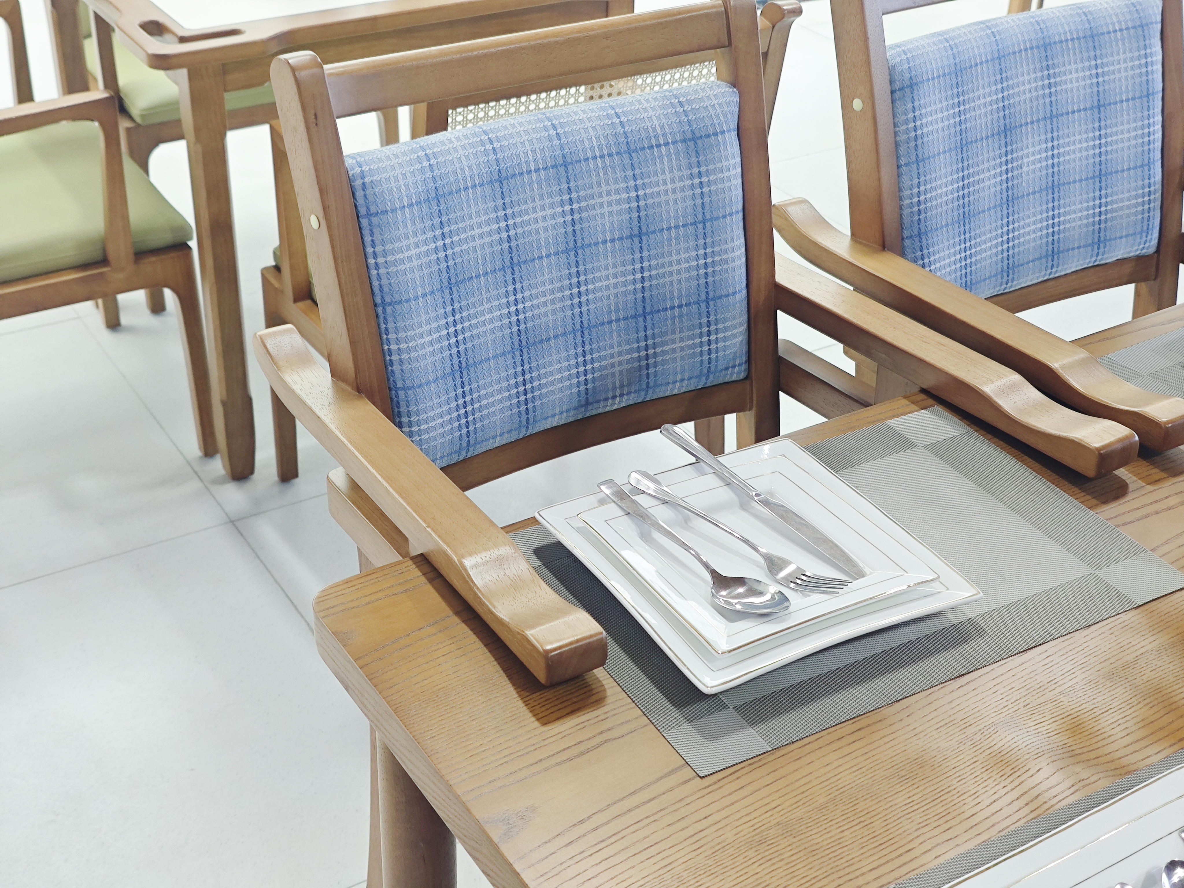 EF-C04 Elderly care chair (Hanging armrest)