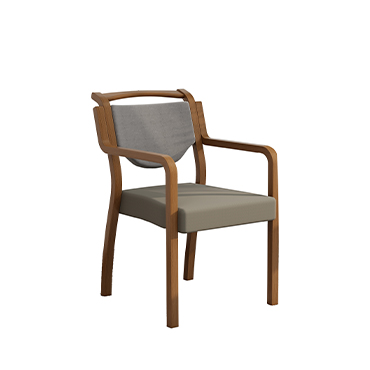 EF-C01 Elderly care chair