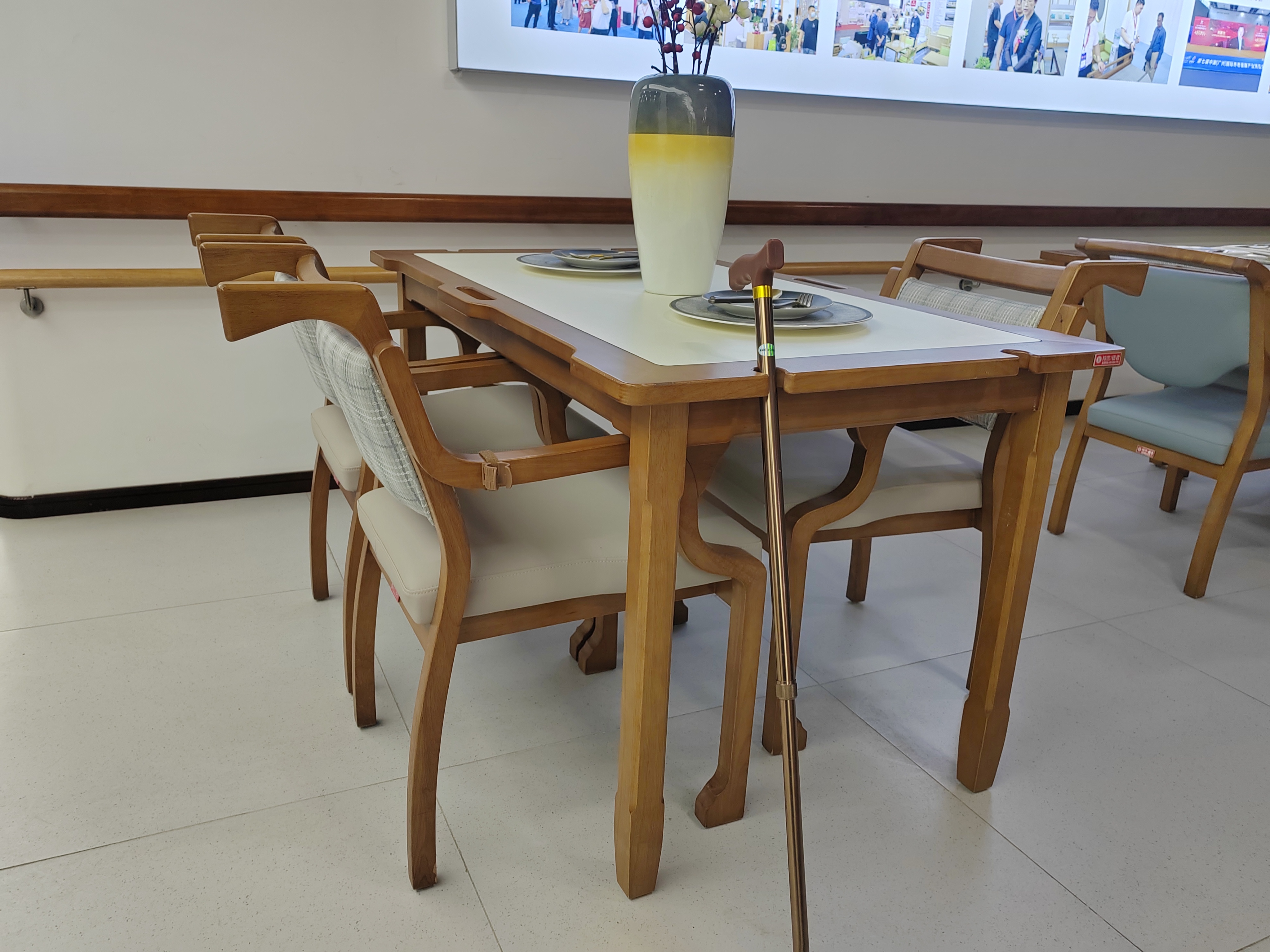 EF-C02 Elderly care chair （Pushable） Real shot
